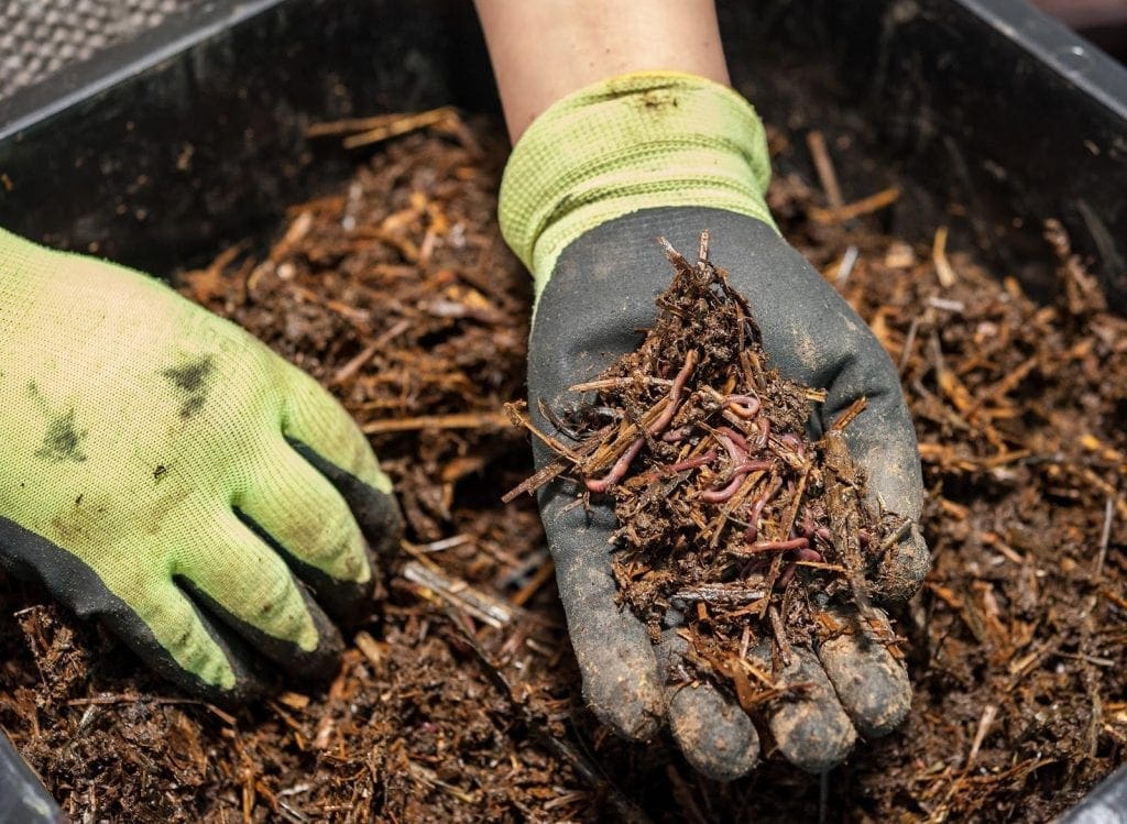 A worm farm is a great option for apartment-dwellers and those who have small gardens.