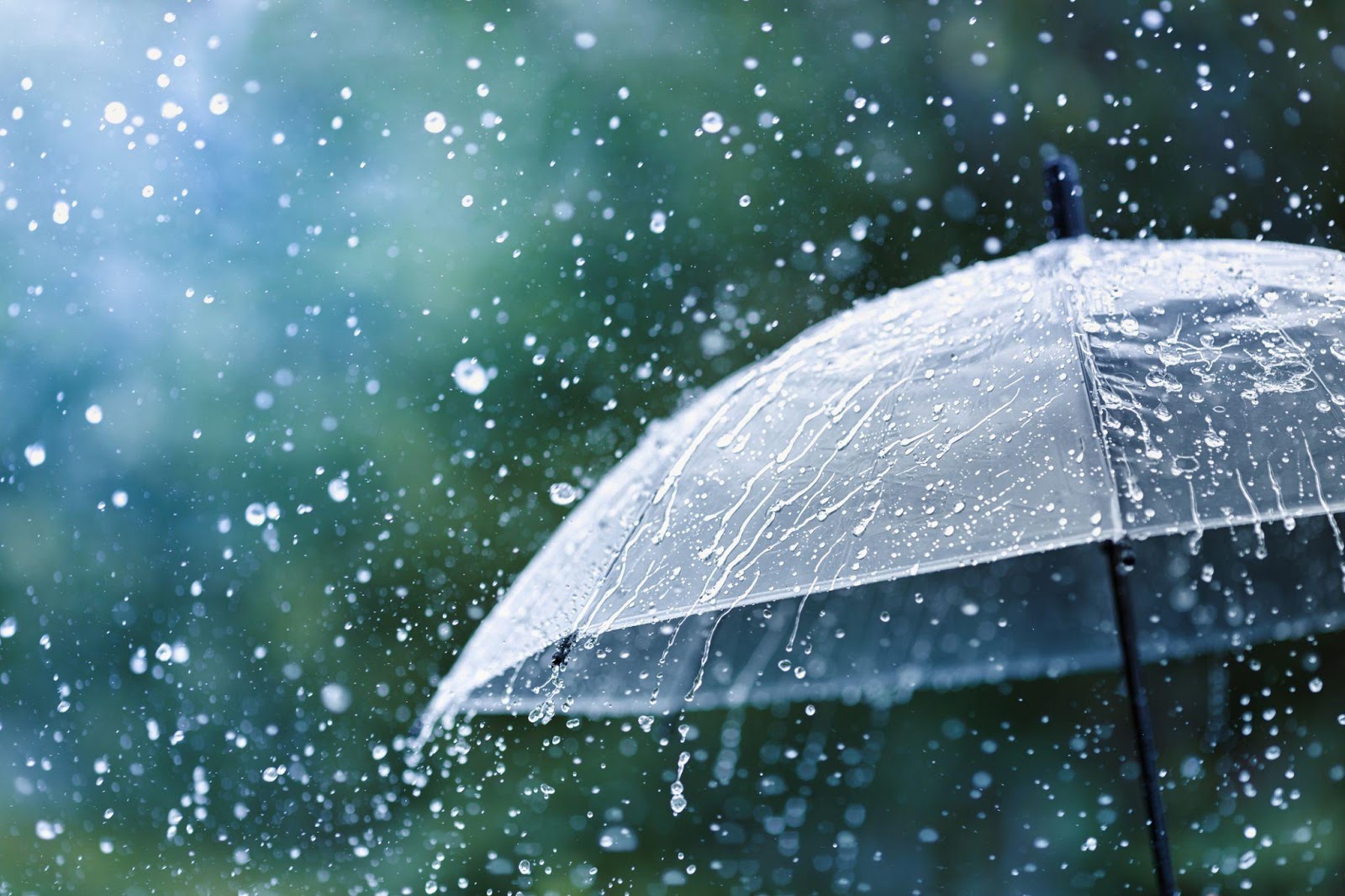 The Science Behind the Smell of Rain - Chemwatch