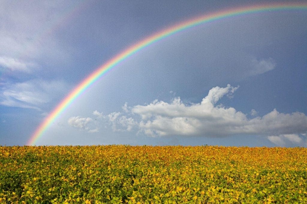 Wie werden Regenbogen gemacht?