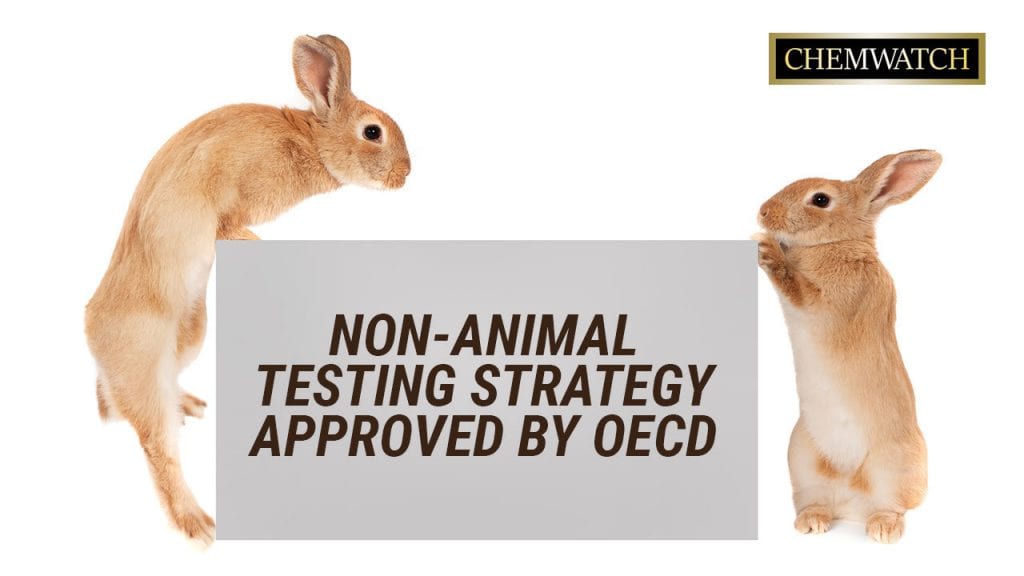 OECDによって承認された非動物試験戦略