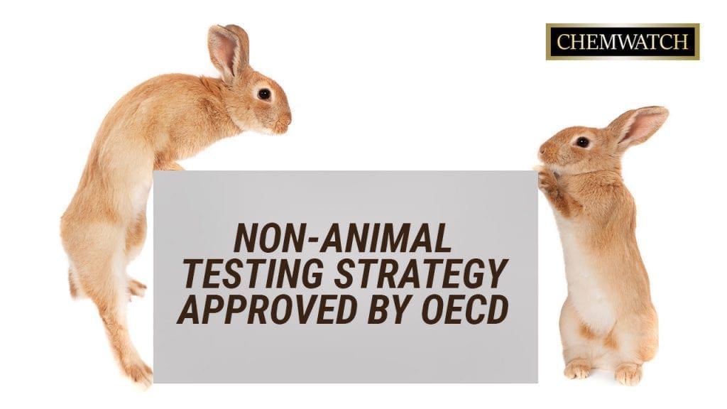 OECD tarafından onaylanan hayvan dışı test stratejisi