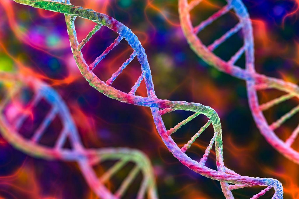 Os genes são compostos de fitas de DNA, que são copiadas toda vez que uma célula se divide.