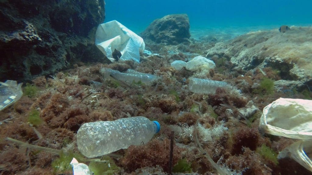 Einwegplastik ist ein zentrales Anliegen von Umweltschützern, da es sich um einen sehr häufigen Schadstoff in Ozeanen und Wasserstraßen handelt.