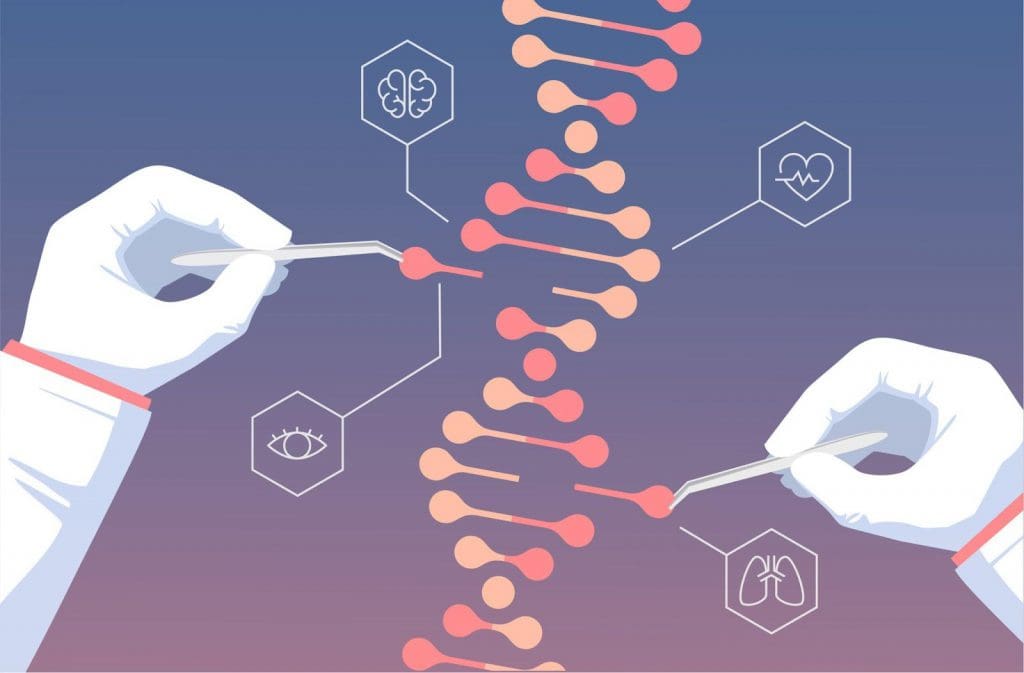 Les développements du génie génétique peuvent aider à atténuer les effets nocifs des mutations.