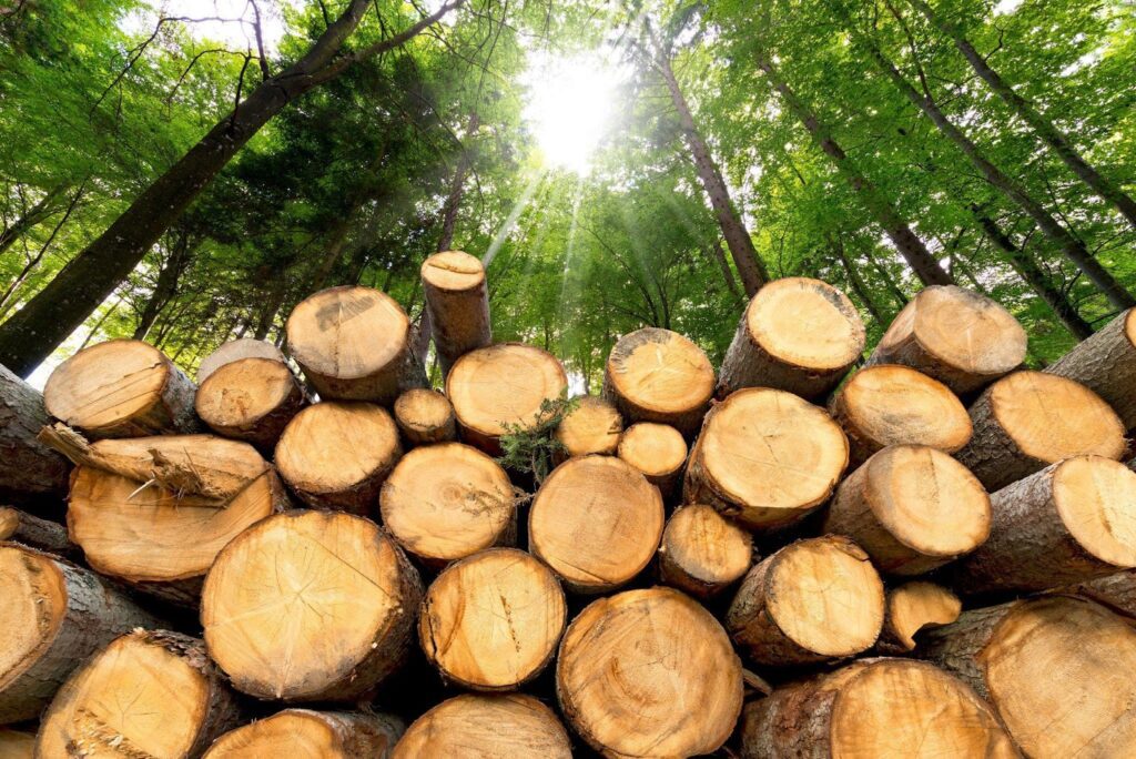 Rester av biomassa från papperstillverkning har potential att stärka hållbara industriella processer.