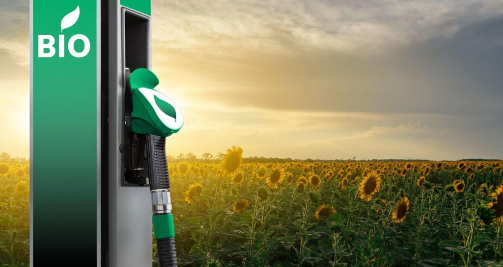 Biobrandstoffen gebruikt voor auto's